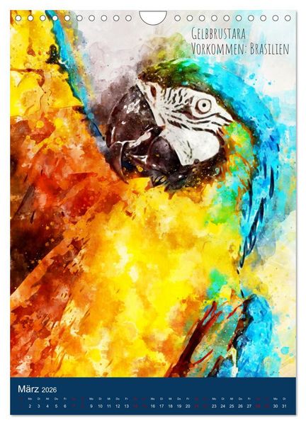 Produktbild: Exotische V&ouml;gel - Die Sch&ouml;nsten der Welt in Aquarell (Wandkalender 2026 DIN A4 hoch), CALVENDO Monatskalender
