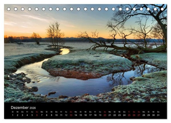 Produktbild: New Forest - England (Tischkalender 2026 DIN A5 quer), CALVENDO Monatskalender