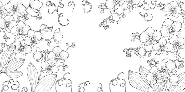 Produktbild: Bl&uuml;tentraum &ndash; Florale Motive ausmalen