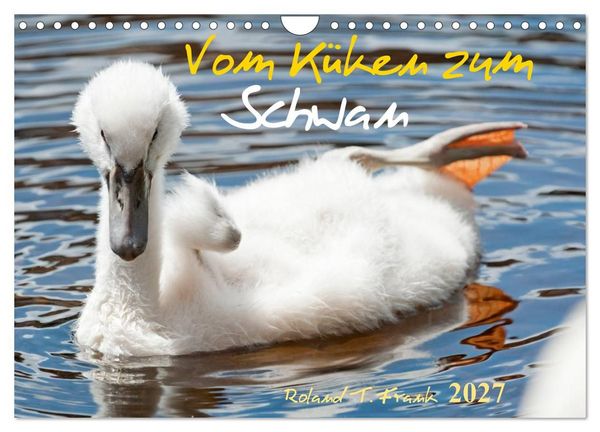 Produktbild: Vom K&uuml;ken zum Schwan (Wandkalender 2027 DIN A4 quer), CALVENDO Monatskalender