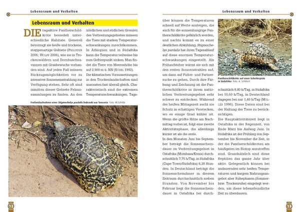 Produktbild: Die Pantherschildkr&ouml;te