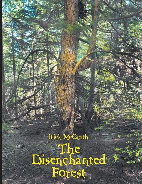Produktbild: The Disenchanted Forest