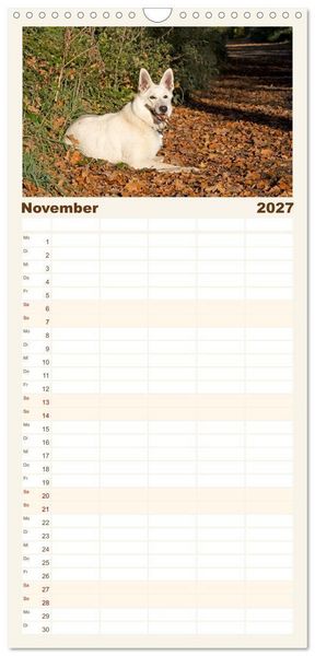 Produktbild: Familienplaner 2027 - Berger Blanc Suisse - Weggef&auml;hrten auf 4 Pfoten mit 5 Spalten (Wandkalender, 21 x 45 cm) CALVENDO
