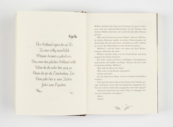Produktbild: Ein M&auml;dchen namens Willow 1: Ein M&auml;dchen namens Willow