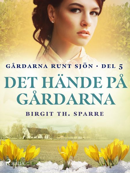 Produktbild: Det h&auml;nde p&aring; g&aring;rdarna