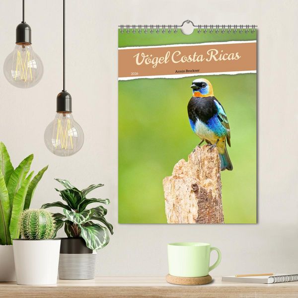 Produktbild: V&ouml;gel Costa Ricas (Wandkalender 2026 DIN A4 hoch), CALVENDO Monatskalender