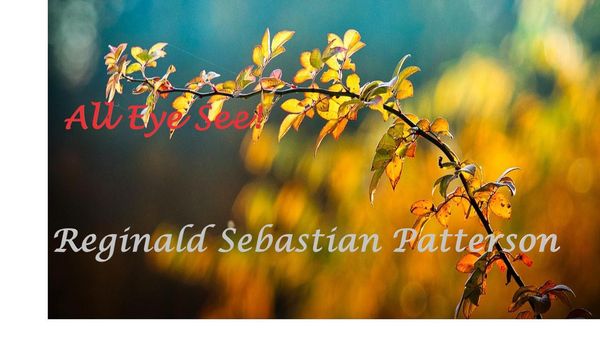 Produktbild: All Eye See!