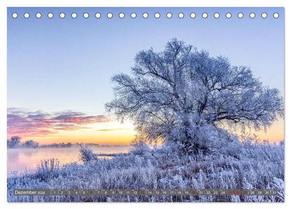 Produktbild: Naturlandschaft Elbe - Im Wechsel der Jahreszeiten (Tischkalender 2026 DIN A5 quer), CALVENDO Monatskalender