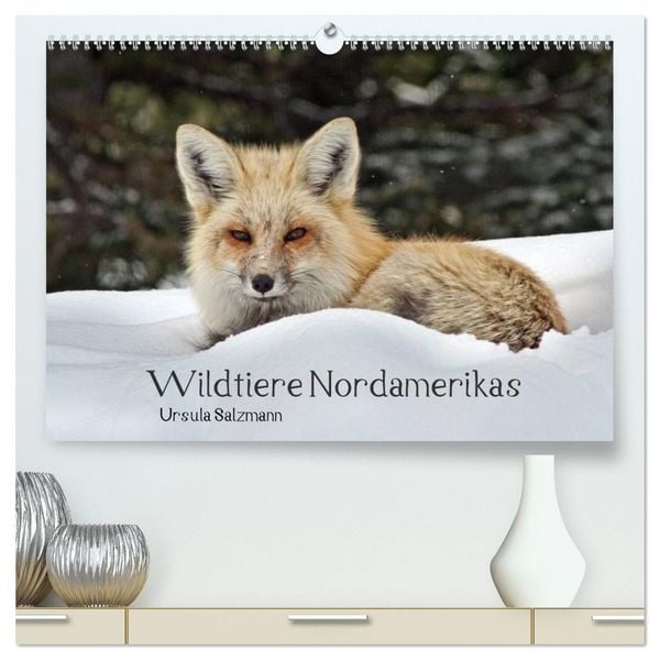 Produktbild: Wildtiere Nordamerikas (hochwertiger Premium Wandkalender 2026 DIN A2 quer), Kunstdruck in Hochglanz