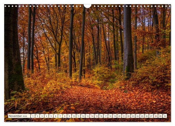 Produktbild: Im Zauber der W&auml;lder (Wandkalender 2026 DIN A3 quer), CALVENDO Monatskalender