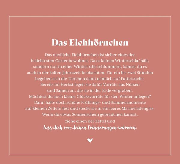 Produktbild: Kleine Wunder in meinem Garten