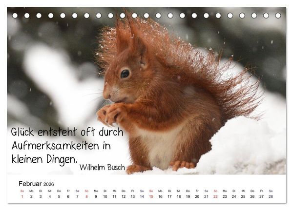 Produktbild: Der literarische Eichh&ouml;rnchen-Kalender (Tischkalender 2026 DIN A5 quer), CALVENDO Monatskalender