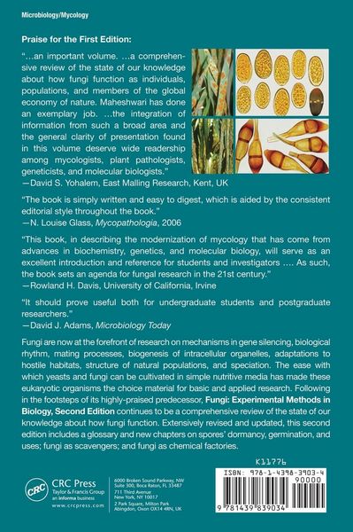 Produktbild: Fungi