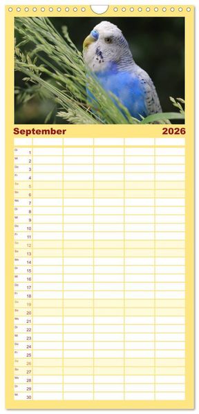 Produktbild: Familienplaner 2026 - Wellensittichkalender! - Das Original mit 5 Spalten (Wandkalender, 21 x 45 cm) CALVENDO
