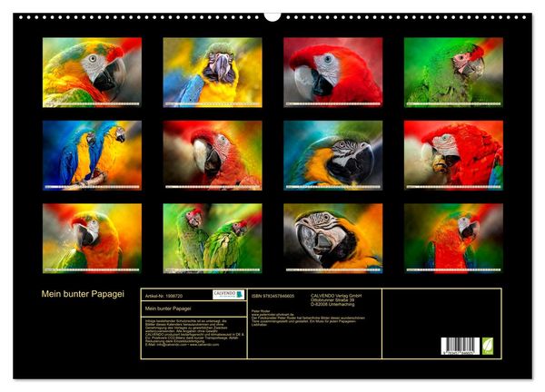 Produktbild: Mein bunter Papagei (Wandkalender 2026 DIN A2 quer), CALVENDO Monatskalender