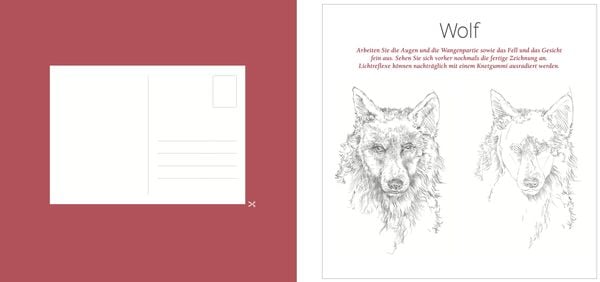 Produktbild: Die Kunst des Zeichnens Tiere. Der Quick-Start-Block