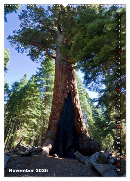 Produktbild: YOSEMITE VALLEY Natur Pur (hochwertiger Premium Wandkalender 2026 DIN A2 hoch), Kunstdruck in Hochglanz