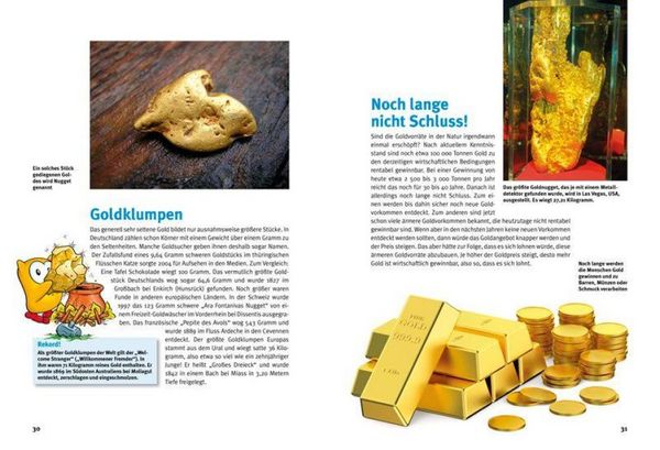 Produktbild: Entdecke das Gold