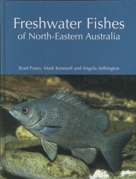 Produktbild: Freshwater Fishes of North-Eastern Australia