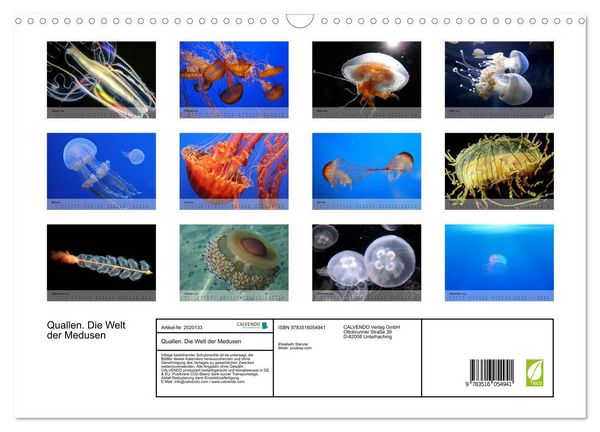 Produktbild: Quallen. Die Welt der Medusen (Wandkalender 2026 DIN A3 quer), CALVENDO Monatskalender