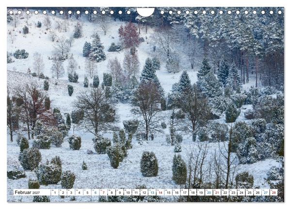 Produktbild: L&uuml;neburger Heide &ndash; Im Wandel der Jahreszeiten (Wandkalender 2027 DIN A4 quer), CALVENDO Monatskalender
