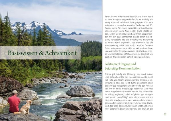 Produktbild: Waldsamkeit