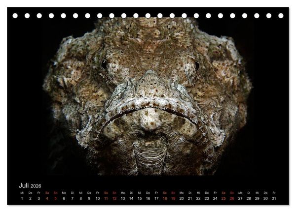 Produktbild: Ocean-Art / CH-Version (Tischkalender 2026 DIN A5 quer), CALVENDO Monatskalender