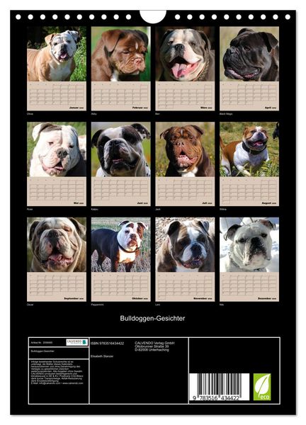 Produktbild: Bulldoggen-Gesichter (Wandkalender 2026 DIN A4 hoch), CALVENDO Monatskalender