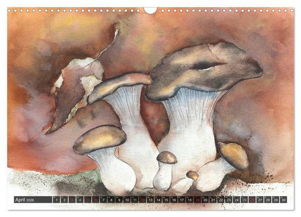 Produktbild: Pilze in Aquarell (Wandkalender 2026 DIN A3 quer), CALVENDO Monatskalender