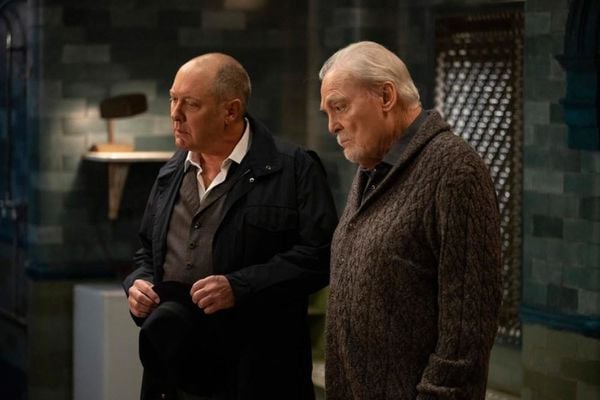 The Blacklist - Season 10 [6 DVDs]