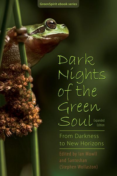 Produktbild: Dark Nights of the Green Soul: From Darkness to New Horizons (expanded edition)