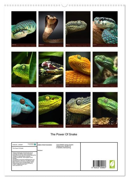 Produktbild: The Power Of Snake (hochwertiger Premium Wandkalender 2026 DIN A2 hoch), Kunstdruck in Hochglanz