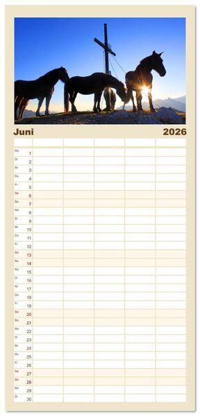 Produktbild: Familienplaner 2026 - Gipfelkreuze im Sonnenlicht mit 5 Spalten (Wandkalender, 21 x 45 cm) CALVENDO