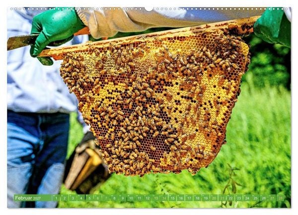 Produktbild: Ein Leben f&uuml;r den Honig: Bienen und Imker (hochwertiger Premium Wandkalender 2027 DIN A2 quer), Kunstdruck in Hochglanz