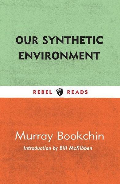 Produktbild: Our Synthetic Environment