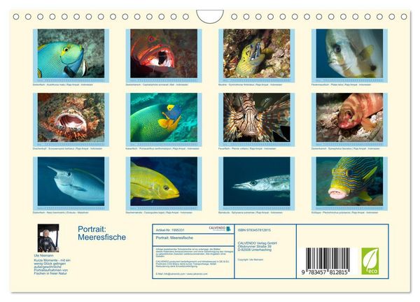 Produktbild: Portrait: Meeresfische (Wandkalender 2026 DIN A4 quer), CALVENDO Monatskalender