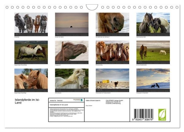 Produktbild: Islandpferde im Isi-Land (Wandkalender 2026 DIN A4 quer), CALVENDO Monatskalender