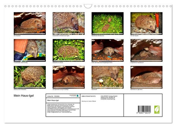 Produktbild: Mein Haus-Igel (Wandkalender 2026 DIN A3 quer), CALVENDO Monatskalender