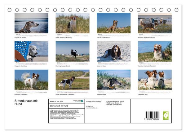 Produktbild: Strandurlaub mit Hund (Tischkalender 2026 DIN A5 quer), CALVENDO Monatskalender