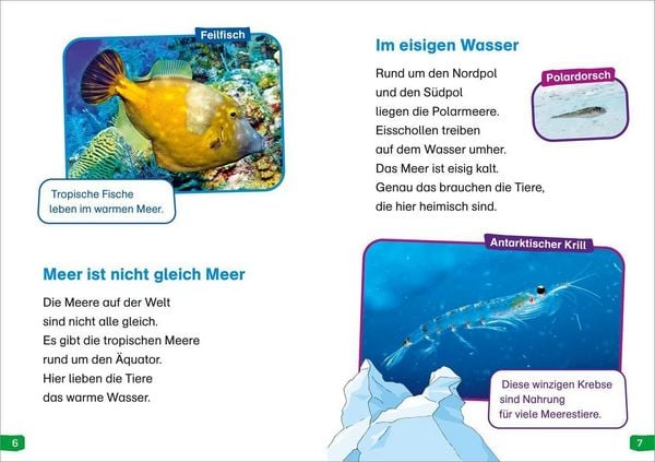 Produktbild: WAS IST WAS Erstes Lesen easy! Band 2. Tiere im Meer