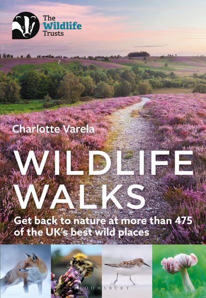 Produktbild: Wildlife Walks