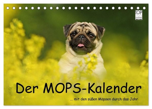 Produktbild: Der MOPS-Kalender (Tischkalender 2026 DIN A5 quer), CALVENDO Monatskalender