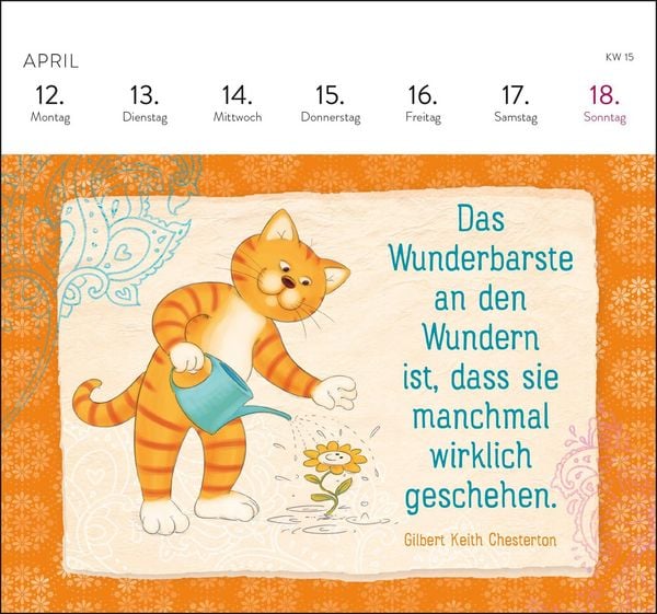 Produktbild: Postkartenkalender 2027: Om-Katze: In der Ruhe liegt die Kraft