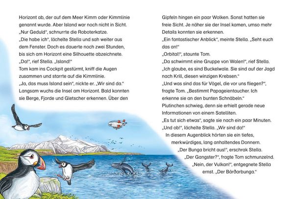 Produktbild: Der kleine Major Tom. Band 14. Abenteuer im brennenden Eis