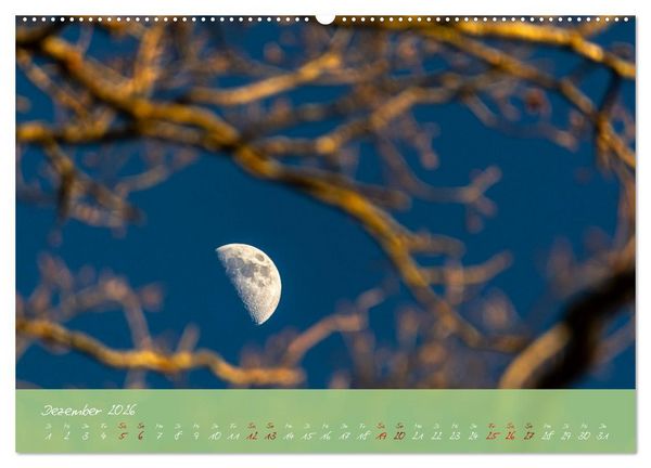 Produktbild: Waldwelten (hochwertiger Premium Wandkalender 2026 DIN A2 quer), Kunstdruck in Hochglanz