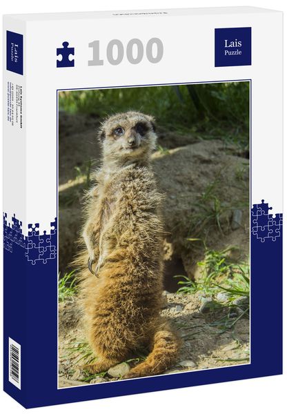 Produktbild: Lais Puzzle Erdm&auml;nnchen 1000 Teile