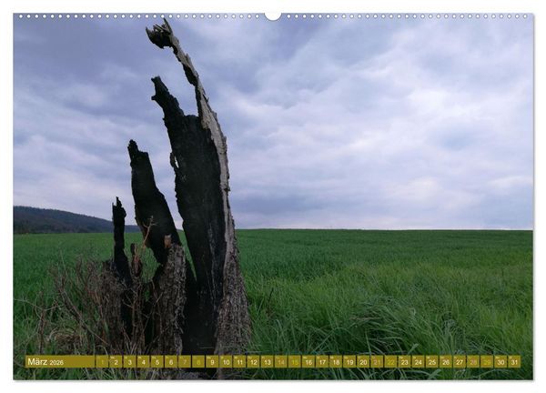 Produktbild: Apfelbaum und Streuobstwiesen (Wandkalender 2026 DIN A2 quer), CALVENDO Monatskalender