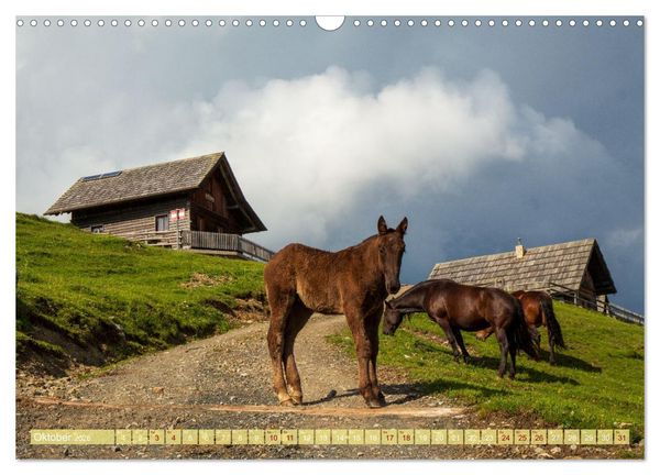 Produktbild: Die Feistritzer Alm - Wandern in den K&auml;rntner Bergen (Wandkalender 2026 DIN A3 quer), CALVENDO Monatskalender