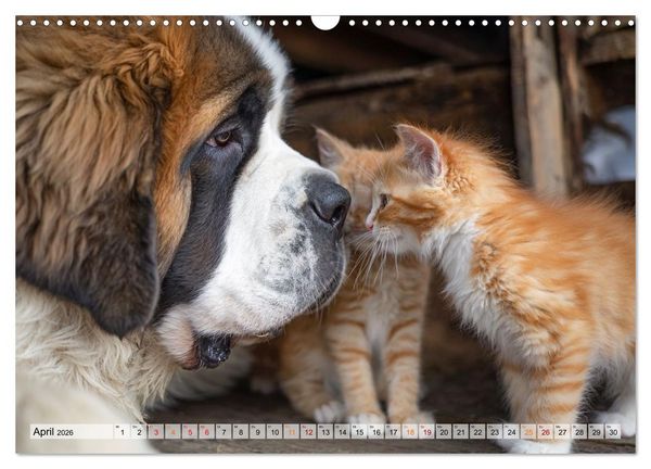 Produktbild: Hund und Katze - Tierische Freunde (Wandkalender 2026 DIN A3 quer), CALVENDO Monatskalender