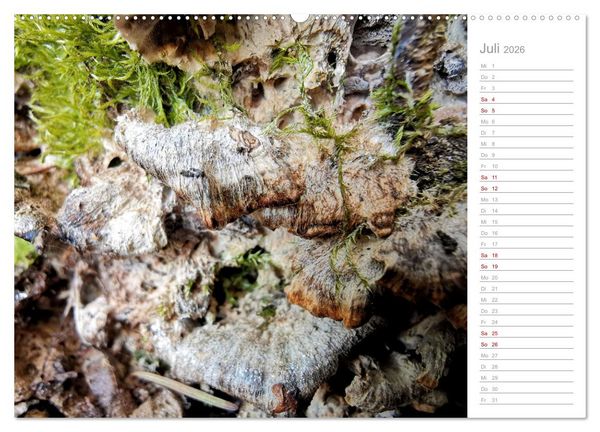 Produktbild: Abstrakte Umwelt (Wandkalender 2026 DIN A2 quer), CALVENDO Monatskalender